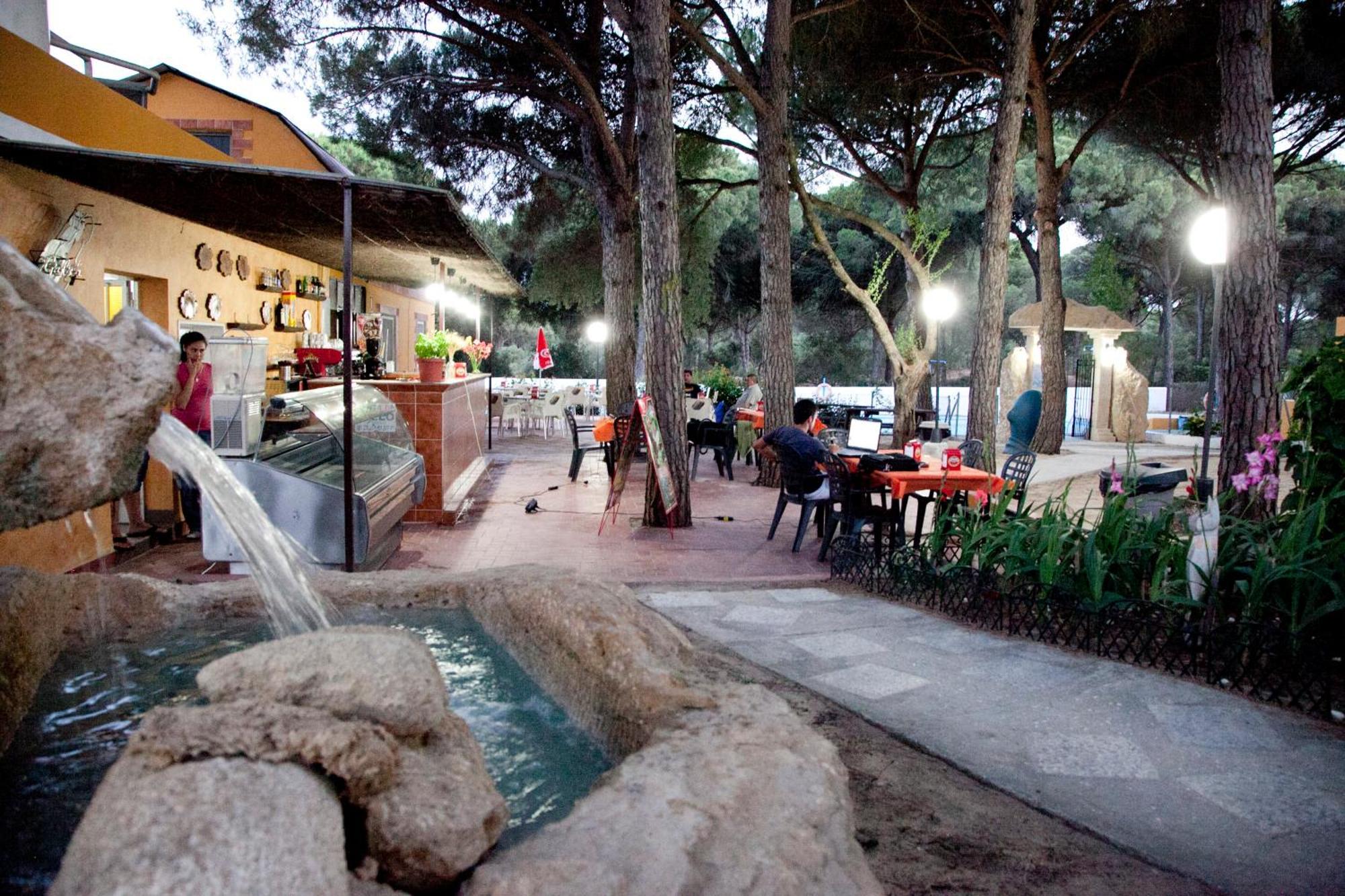 וחר דה לה פרונטרה Camping Vejer מראה חיצוני תמונה